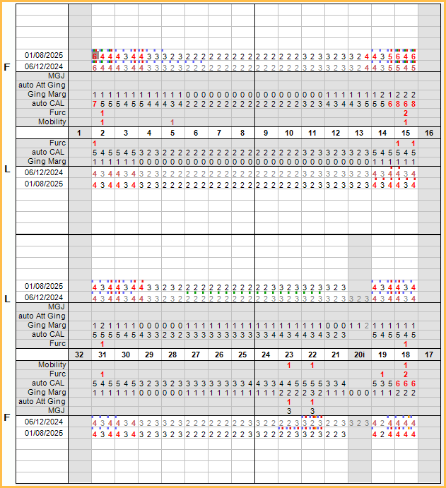 Open Dental Software Perio Chart